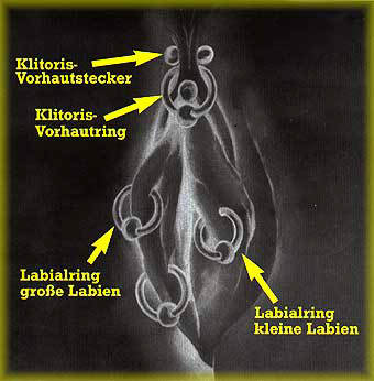 Bodyship.de Piercing und Bodymodification Halle - Intimpiercing Bild weiblich frau