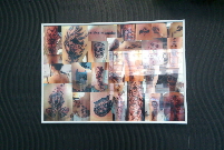 Tattoo Galerie by bodyship.de